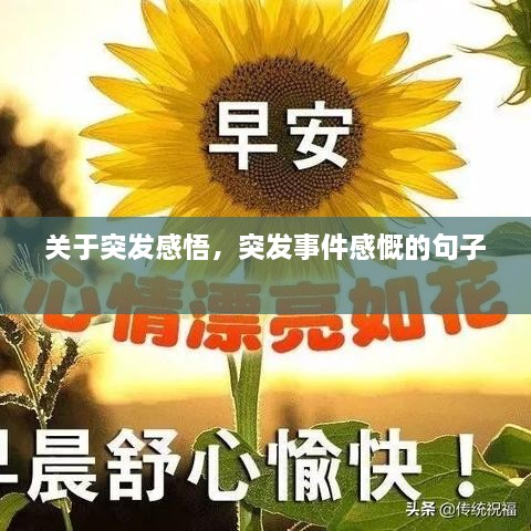 关于突发感悟，突发事件感慨的句子 