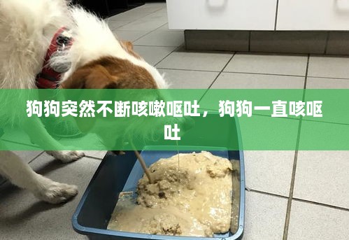 狗狗突然不断咳嗽呕吐，狗狗一直咳呕吐 