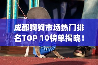 成都狗狗市场热门排名TOP 10榜单揭晓！