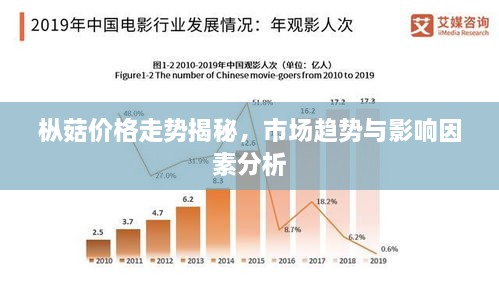 枞菇价格走势揭秘，市场趋势与影响因素分析