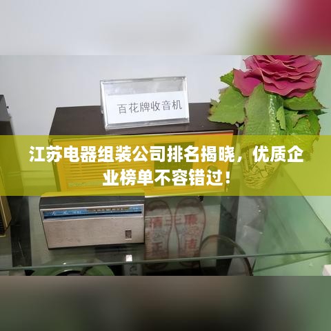 江苏电器组装公司排名揭晓，优质企业榜单不容错过！