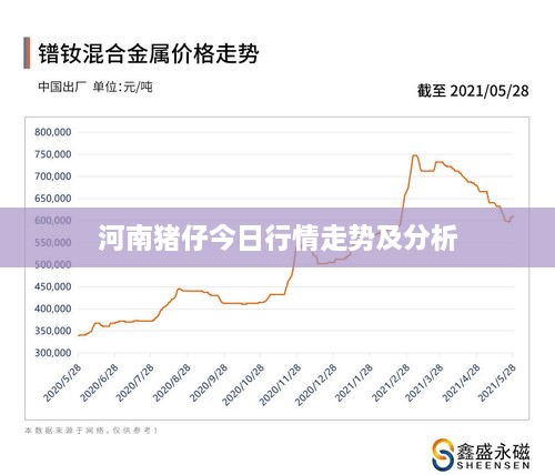 河南猪仔今日行情走势及分析