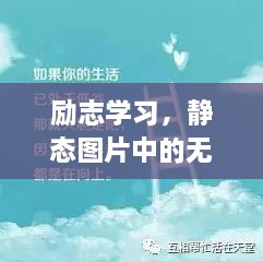 励志学习，静态图片中的无尽力量源泉