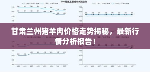 甘肃兰州猪羊肉价格走势揭秘，最新行情分析报告！