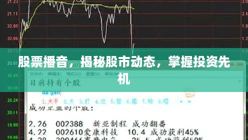 股票播音，揭秘股市动态，掌握投资先机
