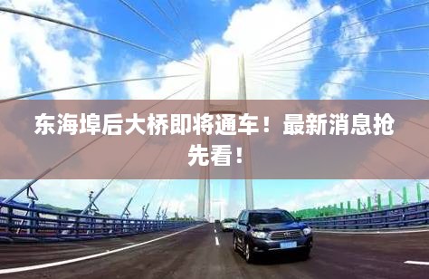 东海埠后大桥即将通车！最新消息抢先看！