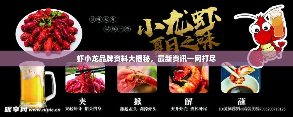 虾小龙品牌资料大揭秘，最新资讯一网打尽