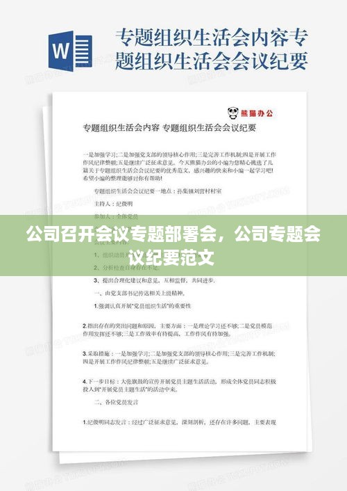 公司召开会议专题部署会，公司专题会议纪要范文 