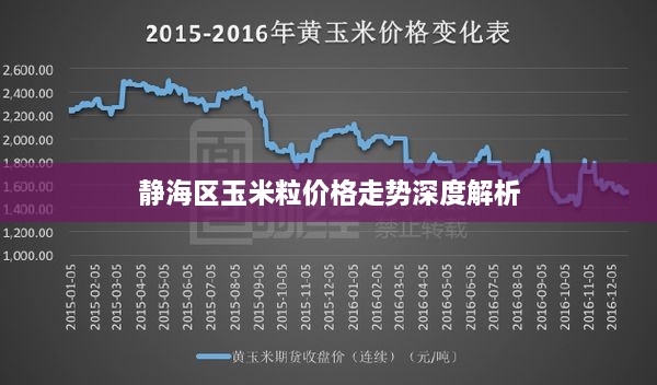 静海区玉米粒价格走势深度解析