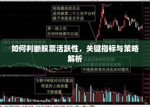 如何判断股票活跃性，关键指标与策略解析