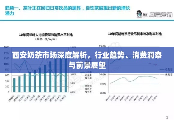 西安奶茶市场深度解析，行业趋势、消费洞察与前景展望