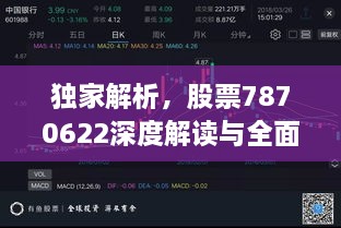 独家解析，股票7870622深度解读与全面剖析