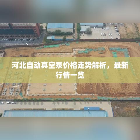 河北自动真空泵价格走势解析，最新行情一览