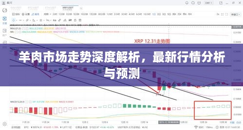 羊肉市场走势深度解析，最新行情分析与预测