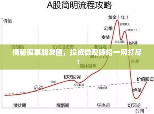 揭秘股票朋友圈，投资微观脉络一网打尽！