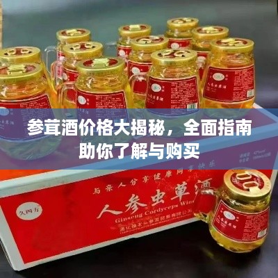 参茸酒价格大揭秘，全面指南助你了解与购买