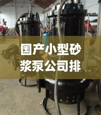 国产小型砂浆泵公司排行榜及行业影响力解析