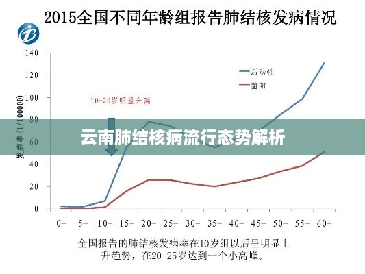 云南肺结核病流行态势解析