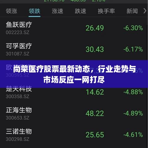 尚荣医疗股票最新动态，行业走势与市场反应一网打尽
