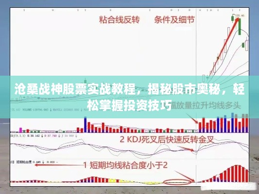 沧桑战神股票实战教程，揭秘股市奥秘，轻松掌握投资技巧