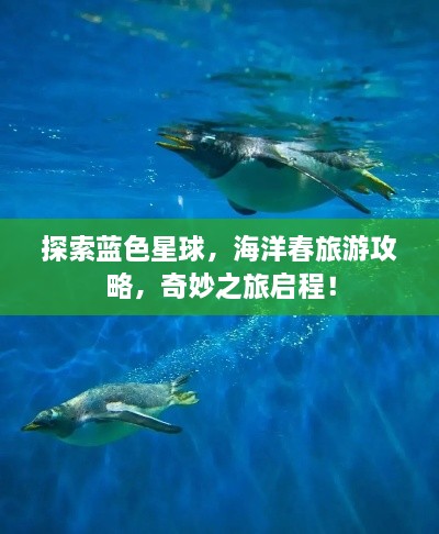 探索蓝色星球，海洋春旅游攻略，奇妙之旅启程！