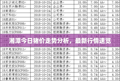 湘潭今日猪价走势分析，最新行情速览