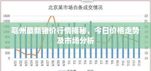 亳州最新猪价行情揭秘，今日价格走势及市场分析