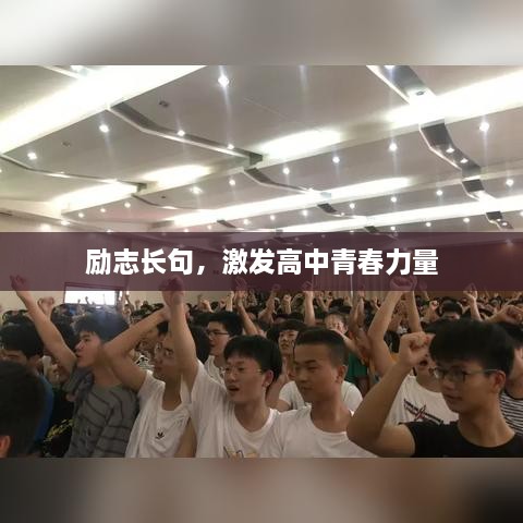 励志长句，激发高中青春力量