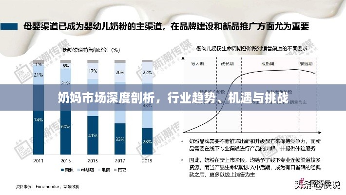 奶妈市场深度剖析，行业趋势、机遇与挑战