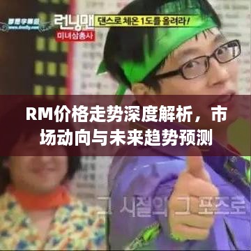 RM价格走势深度解析，市场动向与未来趋势预测