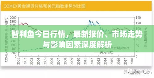 智利鱼今日行情，最新报价、市场走势与影响因素深度解析