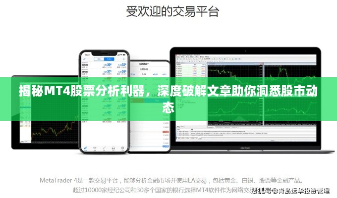 揭秘MT4股票分析利器，深度破解文章助你洞悉股市动态