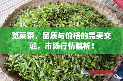 笕菜茶，品质与价格的完美交融，市场行情解析！