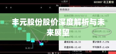 丰元股份股价深度解析与未来展望