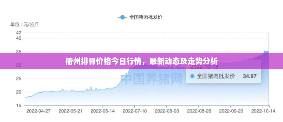 衢州排骨价格今日行情，最新动态及走势分析