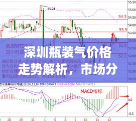 深圳瓶装气价格走势解析，市场分析揭秘与趋势预测