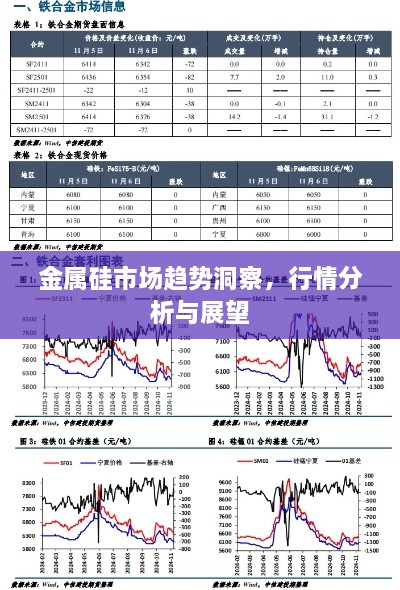 金属硅市场趋势洞察，行情分析与展望