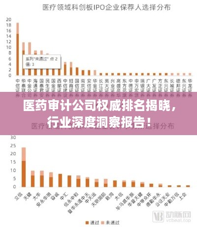 医药审计公司权威排名揭晓，行业深度洞察报告！