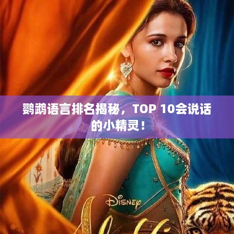 鹦鹉语言排名揭秘，TOP 10会说话的小精灵！