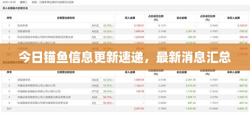 今日锚鱼信息更新速递，最新消息汇总