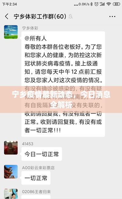 宁乡疫情最新动态，今日消息全解析