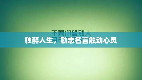 独醉人生，励志名言触动心灵