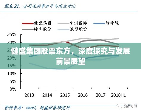 健盛集团股票东方，深度探究与发展前景展望