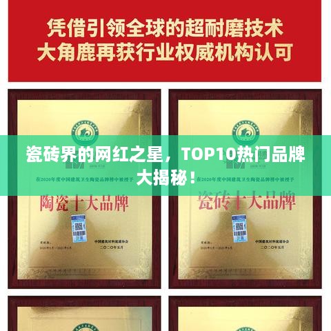 瓷砖界的网红之星，TOP10热门品牌大揭秘！