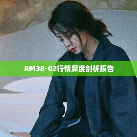 RM38-02行情深度剖析报告