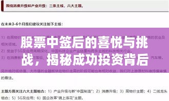 股票中签后的喜悦与挑战，揭秘成功投资背后的故事