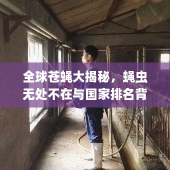 全球苍蝇大揭秘，蝇虫无处不在与国家排名背后的故事