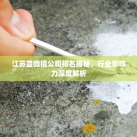 江苏显微镜公司排名揭秘，行业影响力深度解析