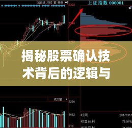 2025年2月15日 第12页