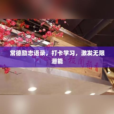 常德励志语录，打卡学习，激发无限潜能